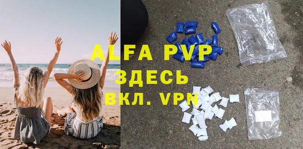 молекула духа Гусев