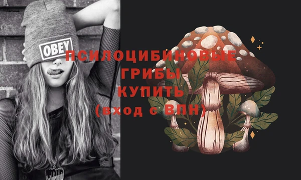 гидра Гусиноозёрск