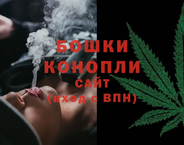 молекула духа Гусев