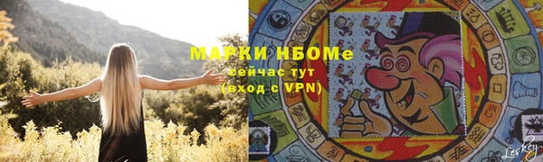 гидра Гусиноозёрск