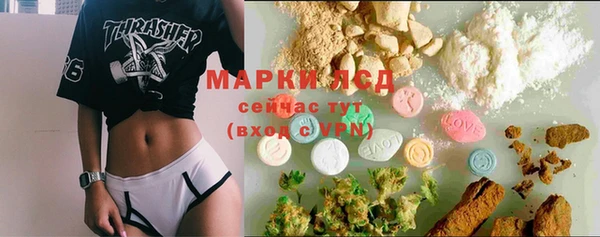 молекула духа Гусев