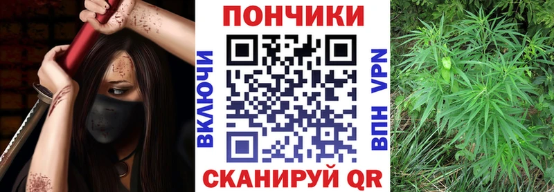 Марихуана план  купить наркоту  mega ссылка  Железноводск 